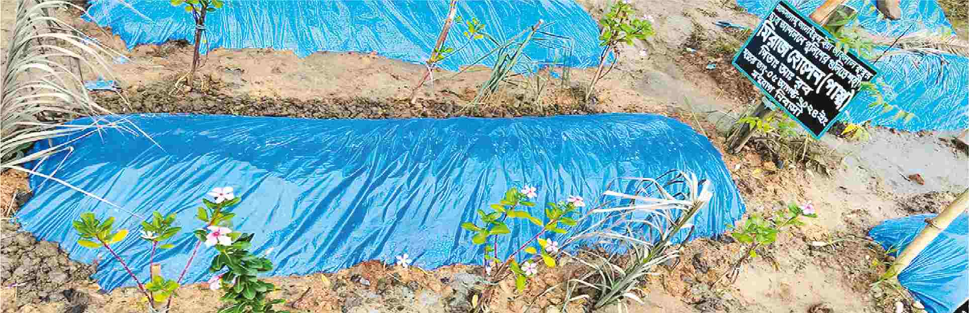 Image of মিরাজ হোসেন
